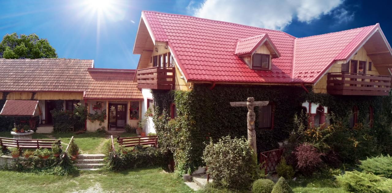 Гостевой дом Conacul Bunicilor Байя-де-Фьер-4