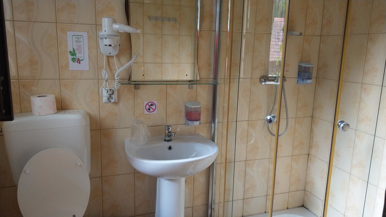 Гостевой дом Conacul Bunicilor Байя-де-Фьер